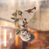 American Redstart Audubon Birds and Wasp Nest Raamsticker (Vel 2)