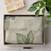 American Redstart Bird Decoupage Tissue Paper Tissuepapier (Geschenk)