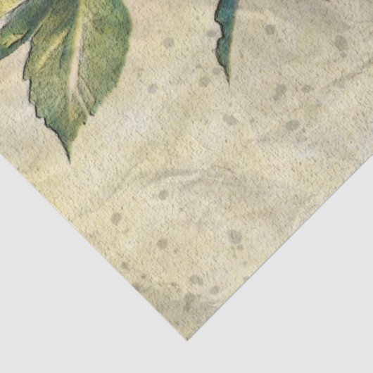 American Redstart Bird Decoupage Tissue Paper Tissuepapier (Detail)