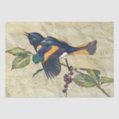 American Redstart Bird Decoupage Tissue Paper Tissuepapier (Voorkant)