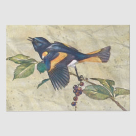 American Redstart Bird Decoupage Tissue Paper Tissuepapier