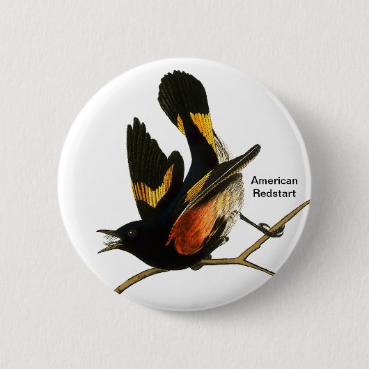 American Redstart door John James Audubon, Birder Ronde Button 5,7 Cm (Voorkant)