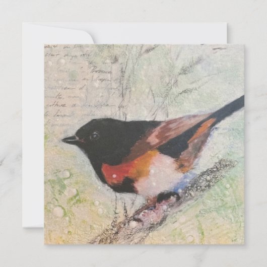 American Redstart Greeting Card Feestdagenkaart (Voorkant)
