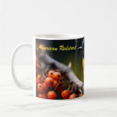 American Redstart Koffiemok (Links)
