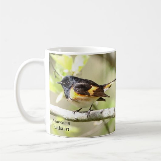 American Redstart Mok door BirdingCollectibles (Links)