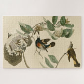 American Redstart van Audubon's vogels in Amerika Legpuzzel (Horizontaal)