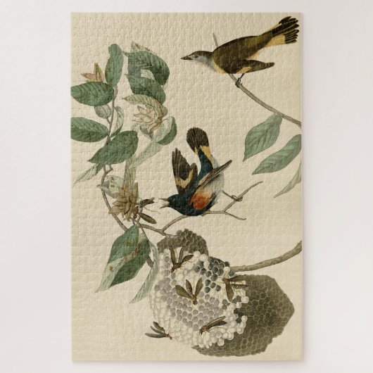 American Redstart van Audubon's vogels in Amerika Legpuzzel (Verticaal)