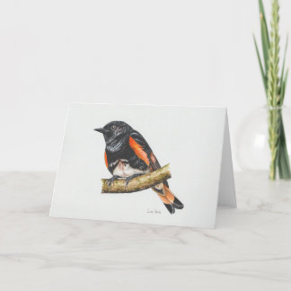 American Redstart Warbler Art Kaart