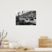 "American River", zwart & wit Poster (Keuken)