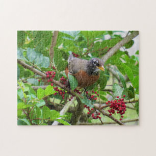 American Robin - Backyard Bird Series - Puzzle Legpuzzel