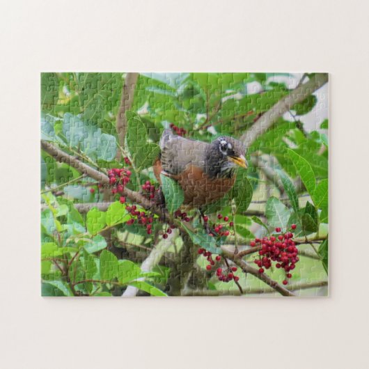 American Robin - Backyard Bird Series - Puzzle Legpuzzel (Horizontaal)