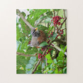 American Robin - Backyard Bird Series - Puzzle Legpuzzel (Verticaal)