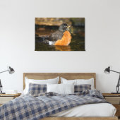 American Robin bathing 2 Canvas Afdruk (Insitu (Slaapkamer))