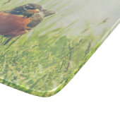 American Robin Bird Green Snijplank (Hoek)