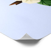 American Robin Bird Poster (Hoek)