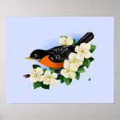 American Robin Bird Poster (Voorkant)