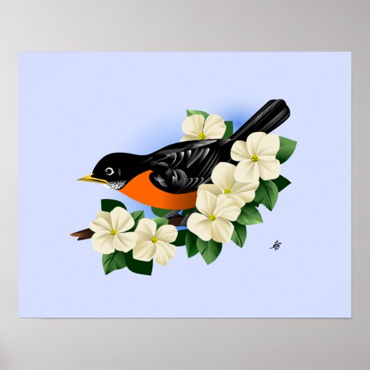 American Robin Bird Poster (Voorkant)