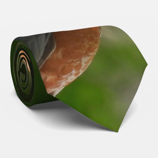 American Robin Bird Stropdas (Opgerold)