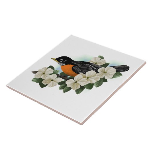 American Robin Bird Tegeltje (Zijkant)