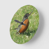 American Robin Clock Ronde Klok (Hoek)
