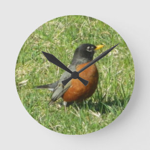 American Robin Clock Ronde Klok