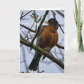 American Robin Happy Vaderdag Kaart (Voorkant)