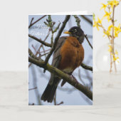 American Robin Happy Vaderdag Kaart (Gele Bloem)