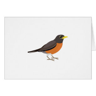 American Robin Illustration