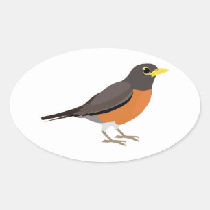 American Robin Illustration Ovale Sticker