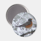 American Robin Magnet (Voorkant / Achterkant)