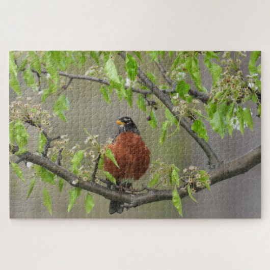 American Robin Perched on Branch w/Spring Blooms Legpuzzel (Horizontaal)