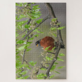 American Robin Perched on Branch w/Spring Blooms Legpuzzel (Verticaal)
