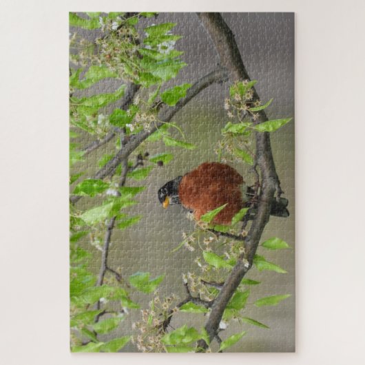 American Robin Perched on Branch w/Spring Blooms Legpuzzel (Verticaal)
