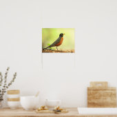 American Robin Photo Poster (Keuken)