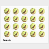 American Robin Photo Ronde Sticker (Vel)