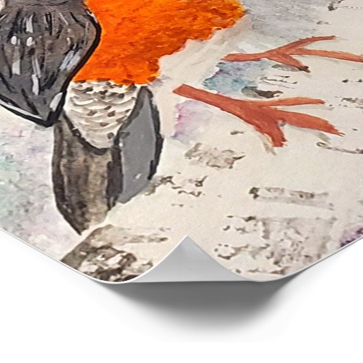 American Robin  Poster (Hoek)