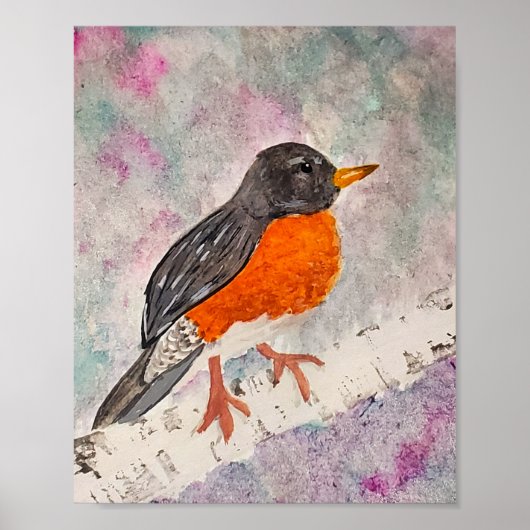 American Robin  Poster (Voorkant)