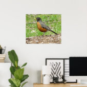 American Robin Poster (Thuiskantoor)