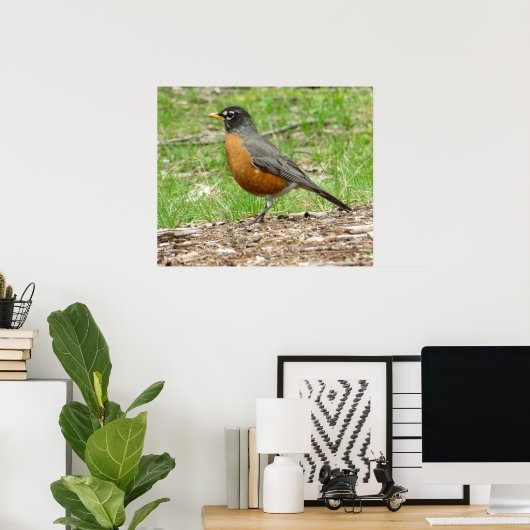 American Robin Poster (Thuiskantoor)