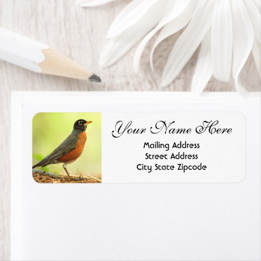 American Robin Return-adres Etiket (Insitu)