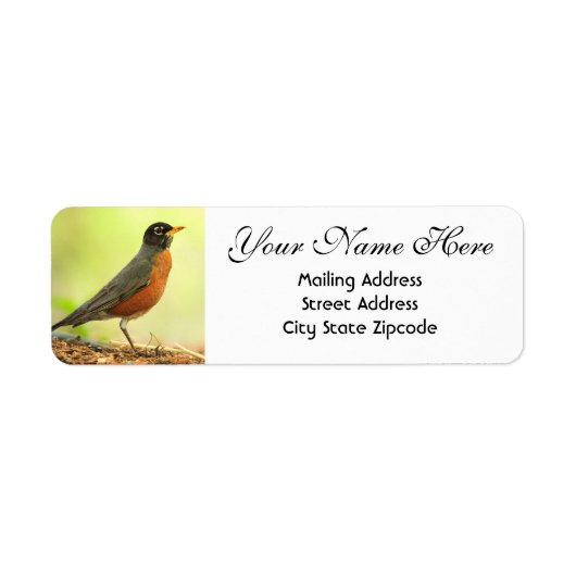 American Robin Return-adres Etiket (Voorkant)