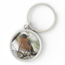 American Robin Sleutelhanger
