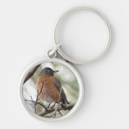 American Robin Sleutelhanger