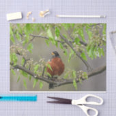 American Robin Spring Blossom Tissuepapier (Craft)