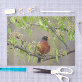 American Robin Spring Blossom Tissuepapier (Craft)
