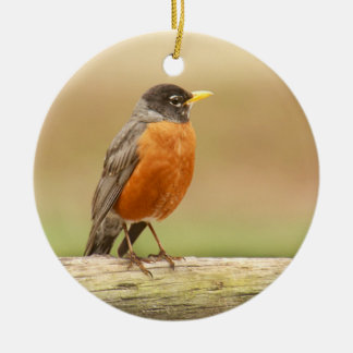 American Robin Standing Keramisch Ornament