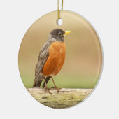 American Robin Standing Keramisch Ornament (Links)