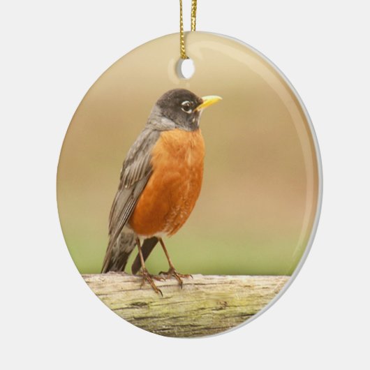 American Robin Standing Keramisch Ornament (Links)