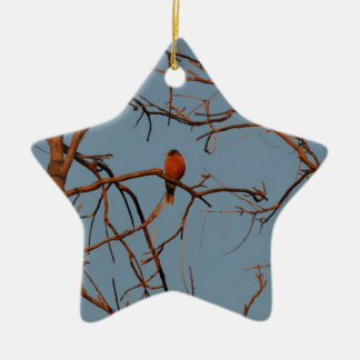 American Robin thuis om te hagen Keramisch Ornament