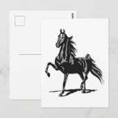 American Saddlebred Briefkaart (Voorkant / Achterkant)